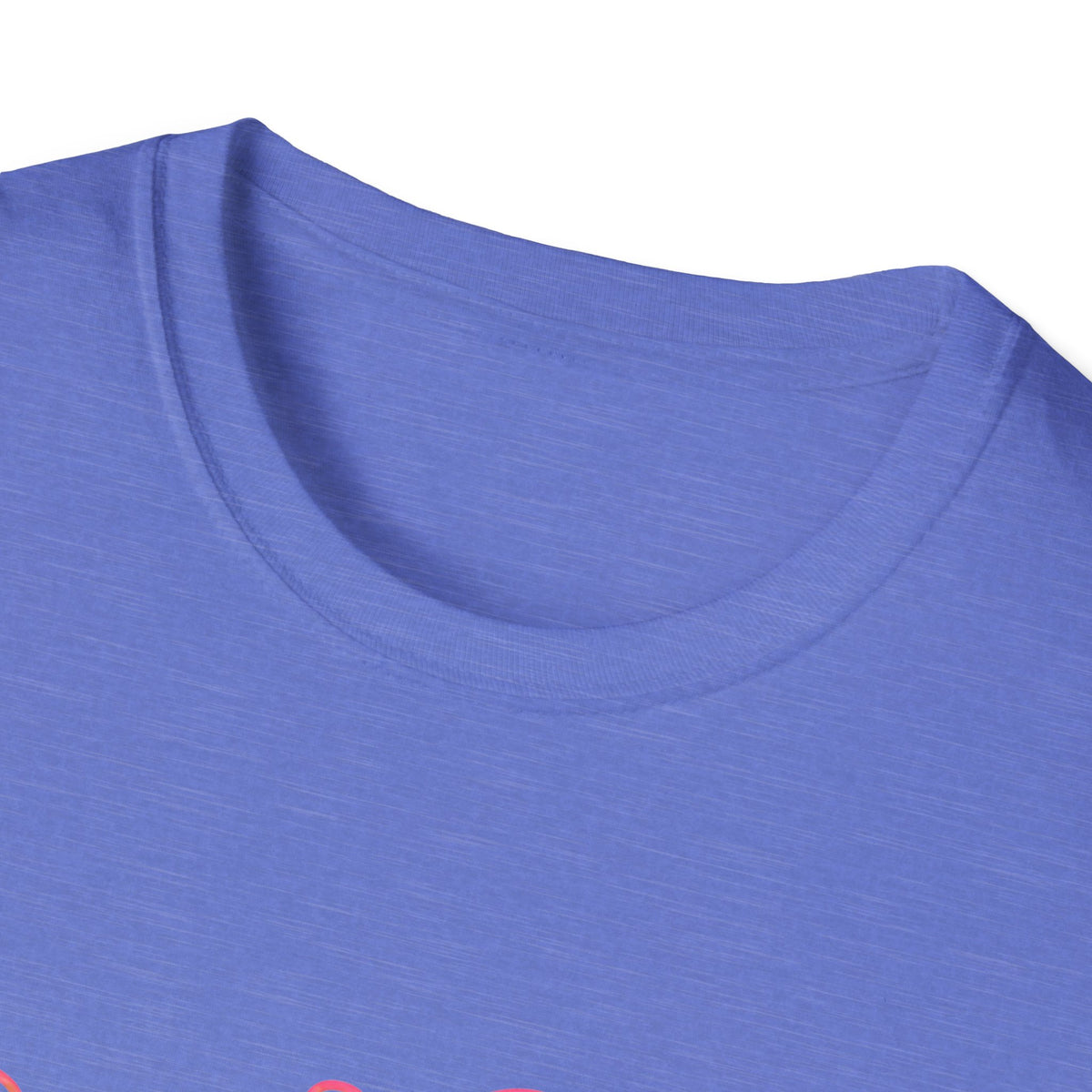 Sweet Sassy Pickle T-Shirt — "Sweet, Sassy & Pickle Obsessed" Cute Cactus/Pickle Graphic Tee